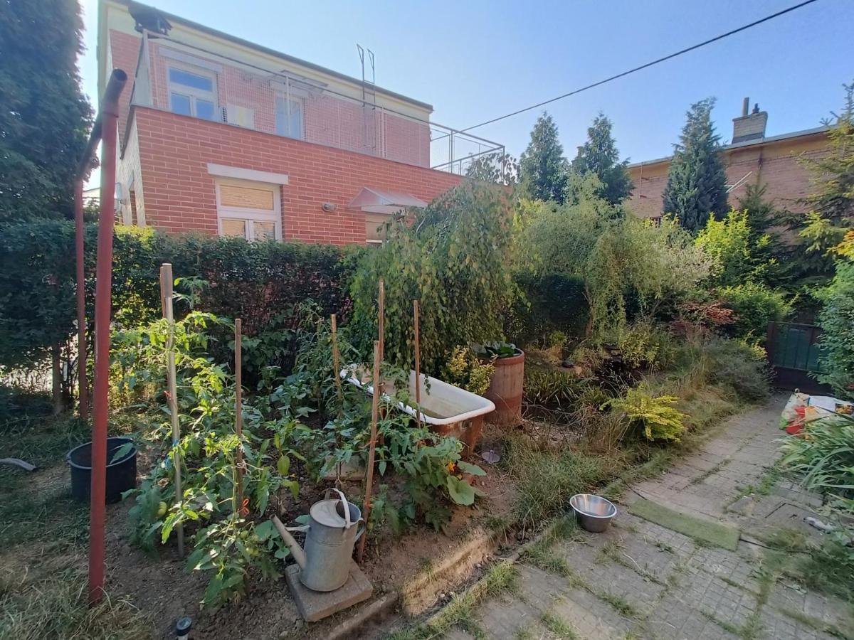 En With Private Floor, 3 Bedrooms, Bathroom, Kitchenette, Host Downstairs With A Cat And 2 Small Dogs --- Cs Soukrome Horni Patro, 3 Loznice, Koupelna, Varic, Balkon - Prizemi Sdilene S Hostitelem, Kockou A 2 Malymi Psy * Zlín